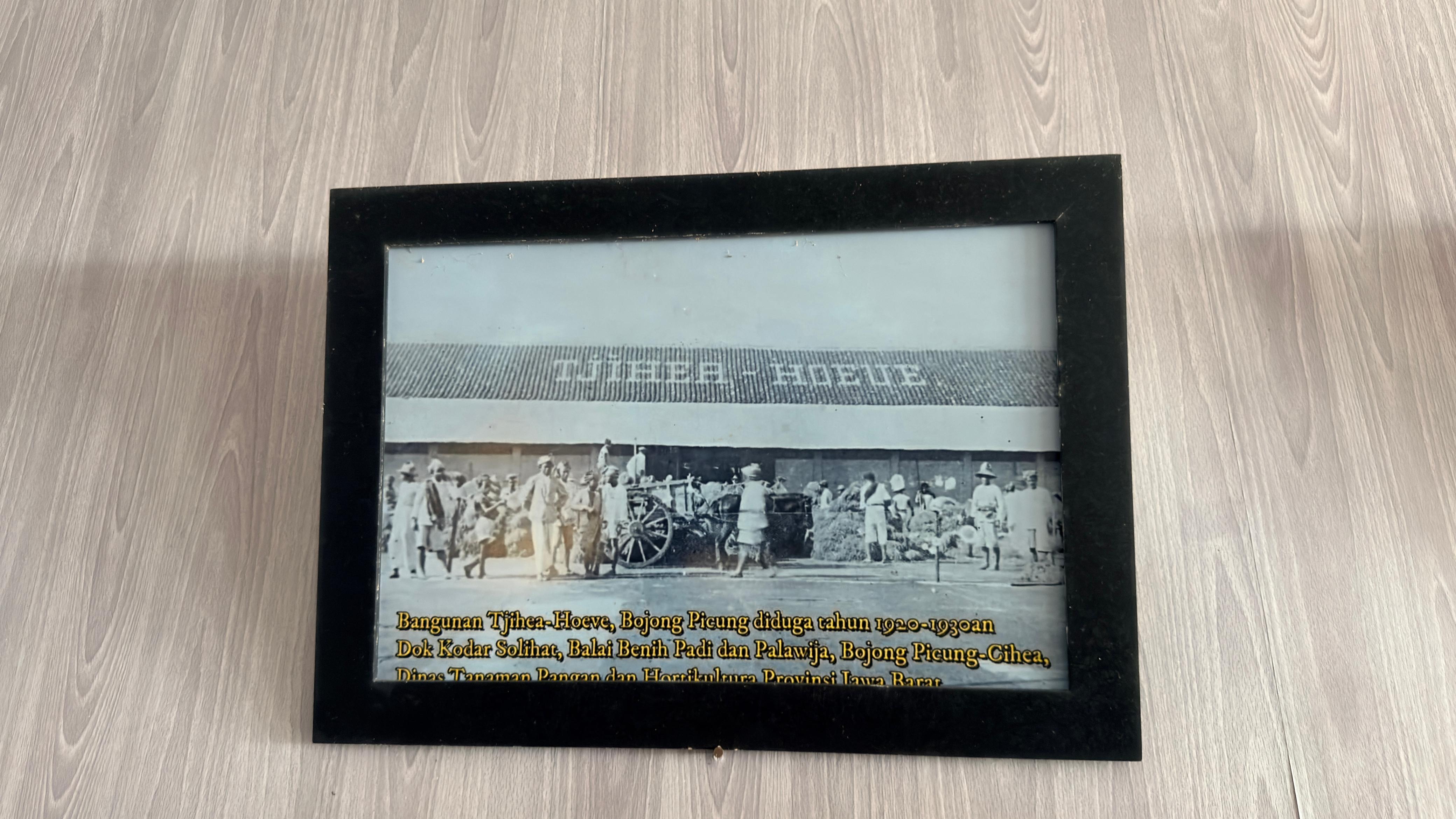 Bangunan Tjihea-Hoeve, Bojong Picung diduga tahun 1920-1930an Dok Kodar Solihat, Balai Benih Padi dan Palawija, Bojong Picung-Cihea, Dinas Tanaman Pangan dan Hortikultura Provinsi Jawa Barat